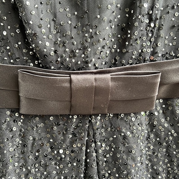 Ann Taylor Party Dress Sequins with Mesh Neckline with Tulle Sequins Body - Picture 6 of 12